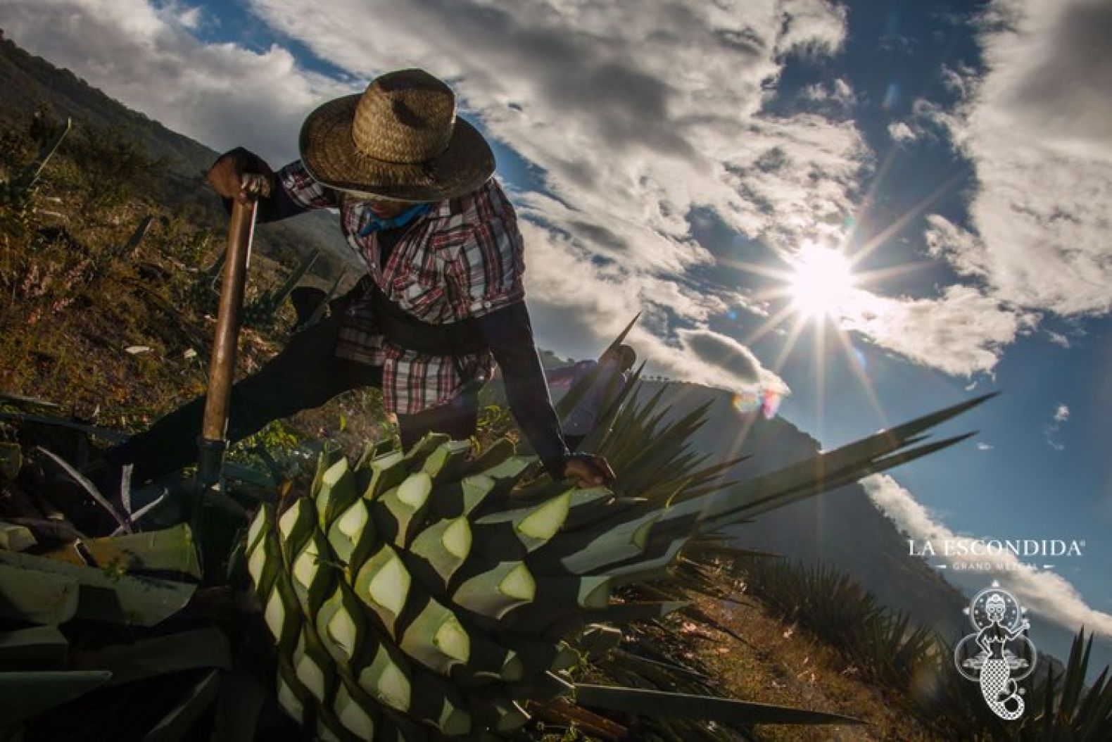 la_escondida_grand_mezcal_production_02.jpg