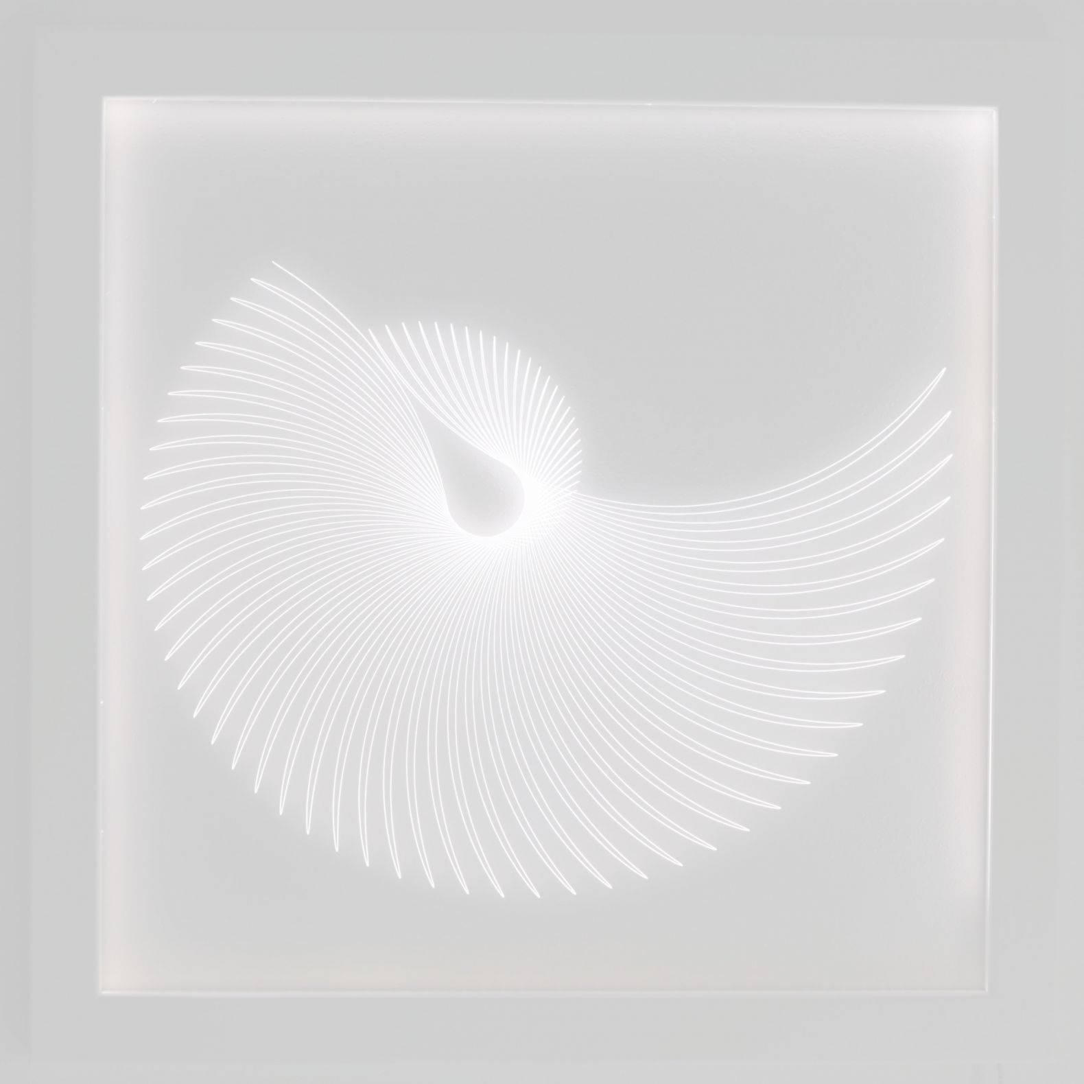 GiorgiaZanusoCurva05-2018installazioneluminosuplexiglassinciso80x80cm.jpg